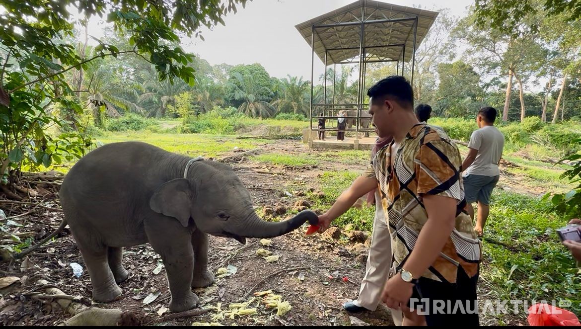 Mengunjungi Dona di TWA Buluh Cina Bisa Jadi Destinasi Pilihan Libur Nataru