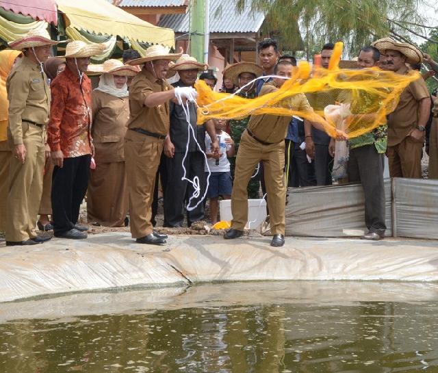 Bupati Hadiri Panen Perdana Udang Budidaya Pemkab Bengkalis