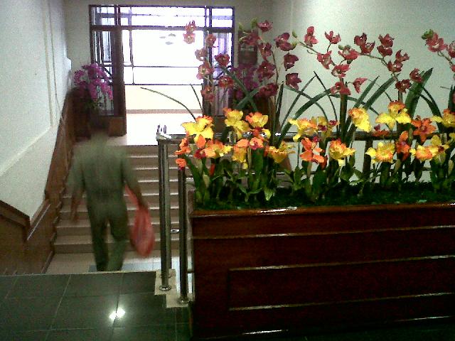 Kantor Walikota Pekanbaru Di Penuhi Bunga