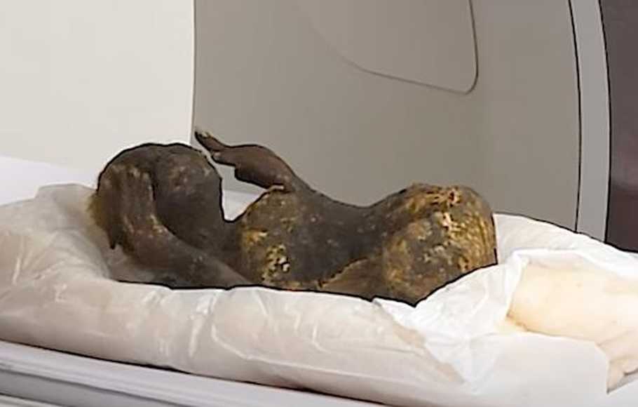 Disimpan di Kuil, Mumi Putri Duyung Berusia 300 Tahun Dipelajari Ilmuwan Jepang