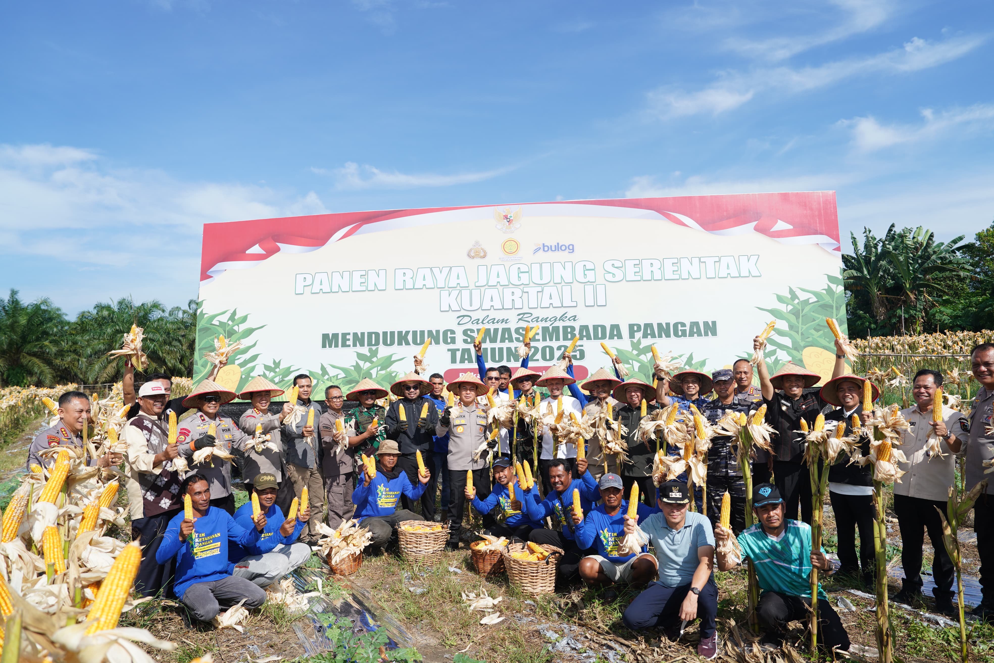 Dukung Swasembada Pangan, Polresta Pekanbaru Panen 12 Ton Jagung