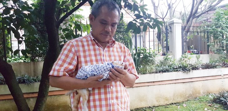 Mengharukan! Kucing Mati Diantar 7 Temannya ke Kuburan, ini Vidionya