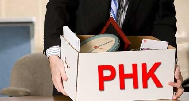 Pemecatan Satu Juta PNS dan PHK Massal Bukti Jokowi Dukung Buruh Asing