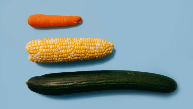 6 Posisi Seks Dahsyat untuk Aneka Tipe Penis