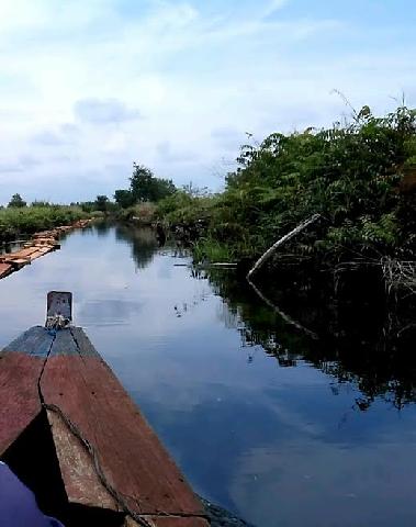Perambahan Cagar Biosfer Giam Siak Kecil Masih Berlangsung