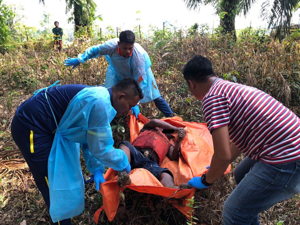 Penemuan Mayat di Perkebunan Sawit Kejutkan Warga Rambah Tengah Hulu