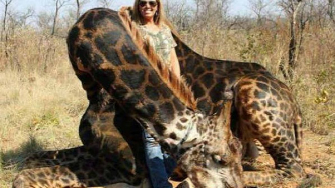 Pemburu Diburu Usai Unggah Foto dengan Jerapah Hitam Langka