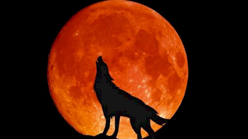 Waktu yang Pas Saksikan Bulan Purnama Serigala 29 Januari
