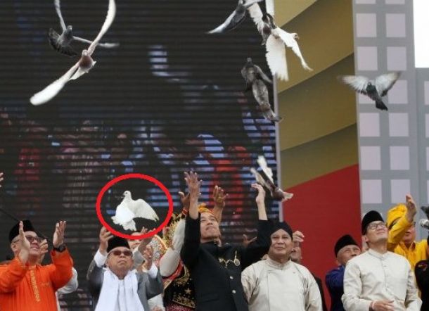 Ini Penjelasan Ilmiah tentang Burung KH Ma'ruf Tidak Bisa Terbang di Monas