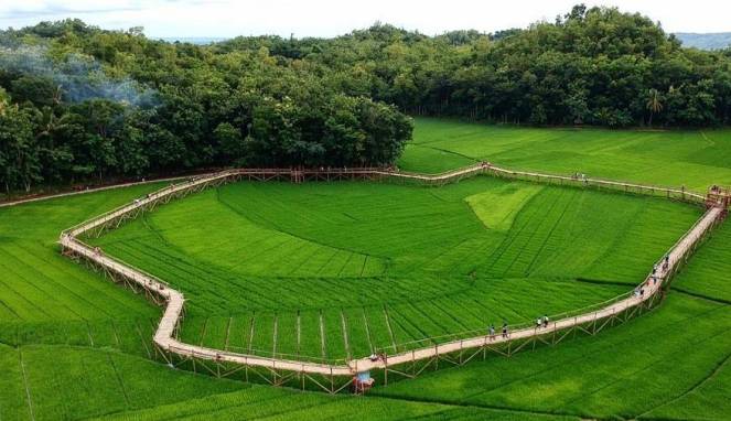 Menengok Sawah Sukorame, Wisata Baru Hits di Yogyakarta