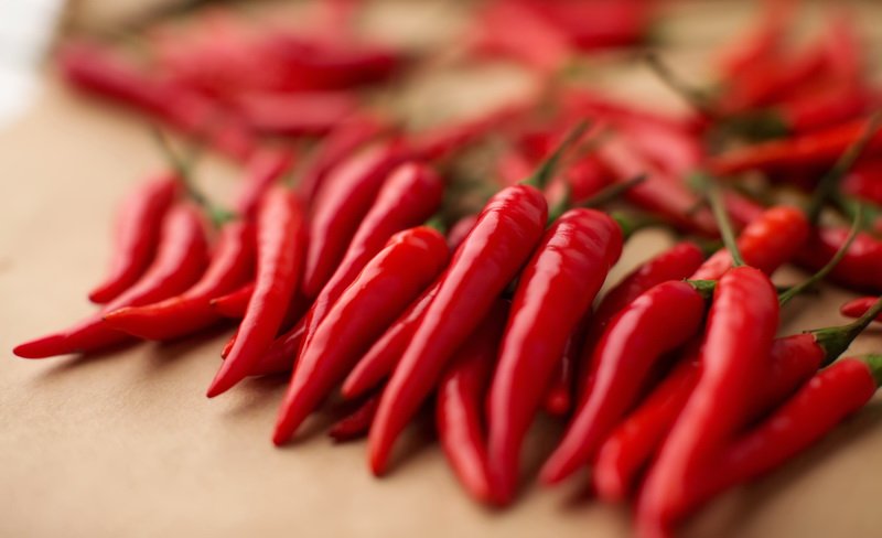 Mahasiswa IPB Awetkan Cabai dengan Kulit Manggis