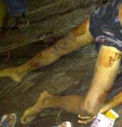 Astaga! Sebelum Bantai Satu Keluarga Secara Sadis, Pelaku Sempat Posting Beginian di FB! Hiii