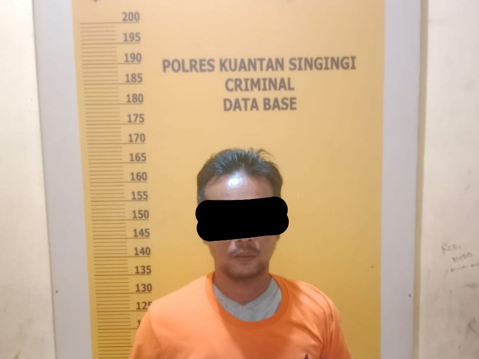 Tim Mata Elang Polres Kuansing Tangkap Residivis Pengedar Ganja di Sungai Jering