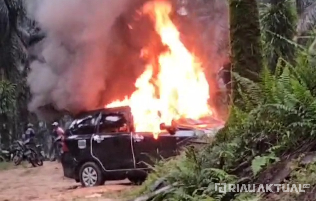 Massa Bakar Mobil Pencuri Sawit di Kuansing