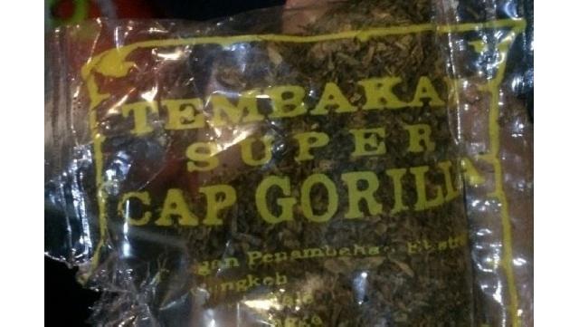 BNN Minta Masyarakat Waspadai Tembakau Gorila