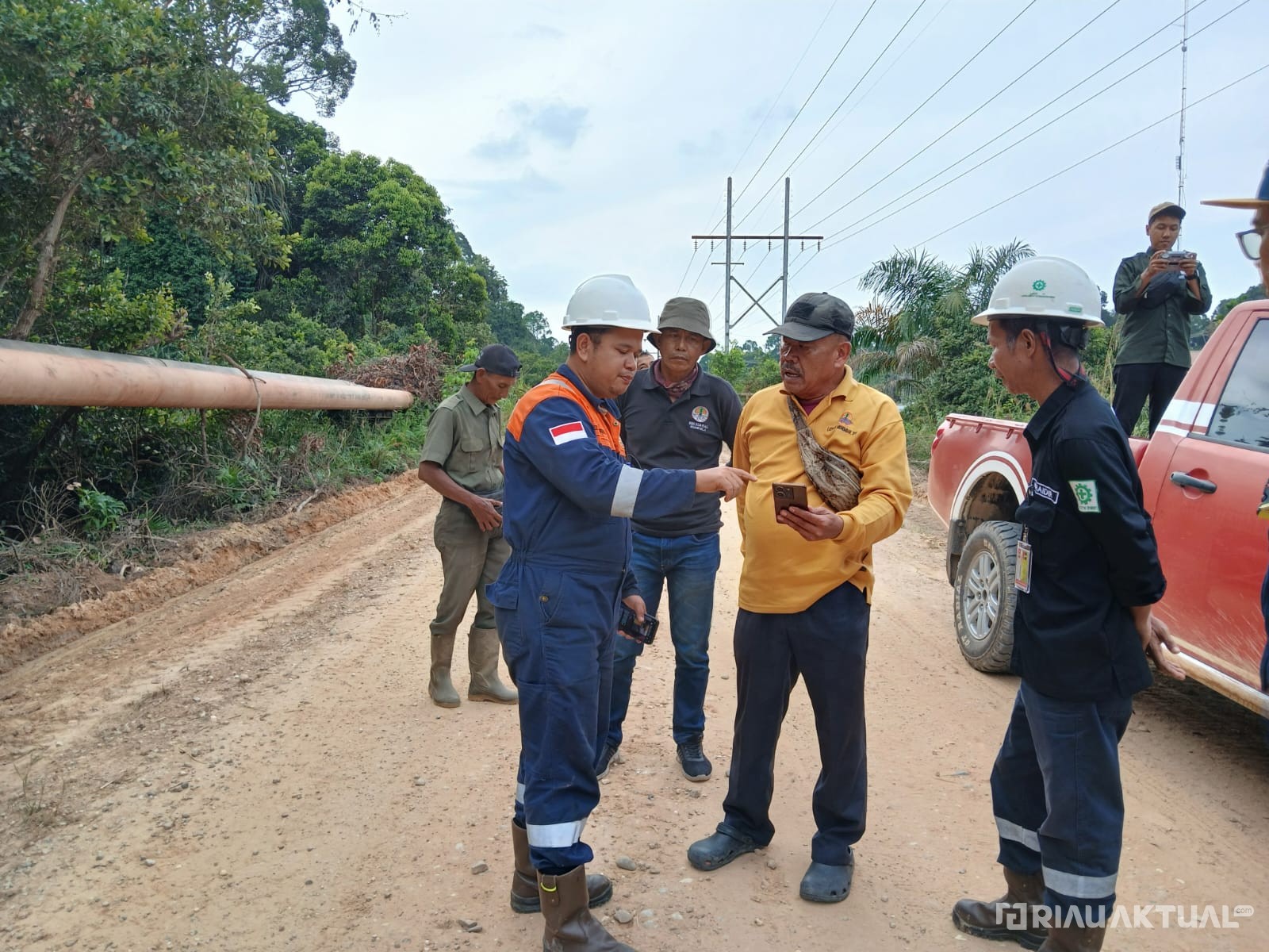 BBKSDA Konfirmasi Keaslian Video, Upaya Konservasi Harimau Sumatera Diperkuat