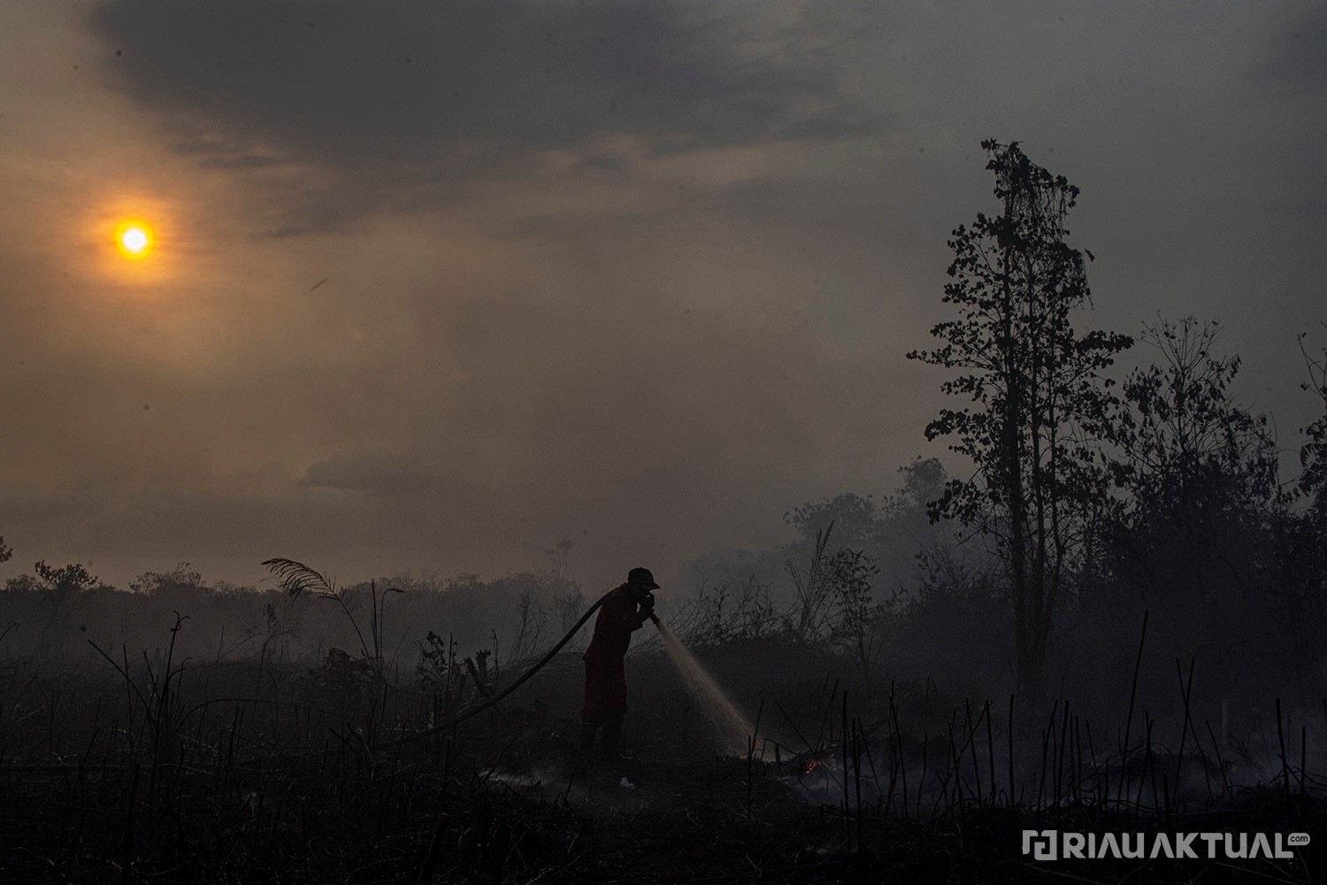 57 Titik Panas Terdeteksi di Riau, Terbanyak di Kuansing