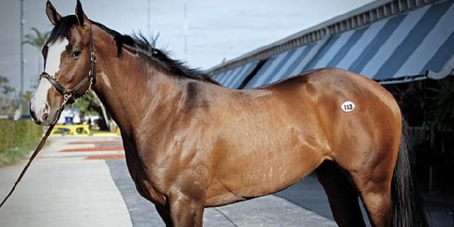 Lima Hewan Peliharaan Termahal di Dunia, Harganya Lebihi Mobil Mewah