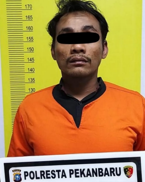 Sat Reskrim Polresta Pekanbaru Ringkus Satu Pelaku Pencurian