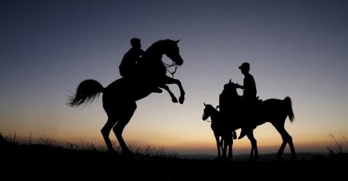 Kuda dan Unta Disebutkan dalam Alquran, Apa Keistimewaannya?