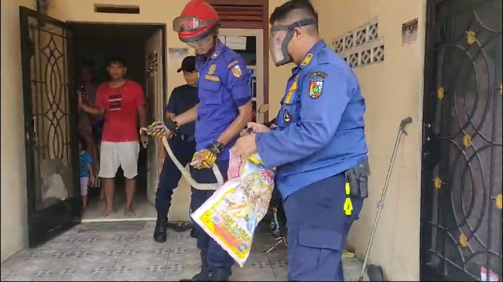 Tim Rescue Damkar Pekanbaru Evakuasi Ular Kobra Dari Dalam Bak Mandi