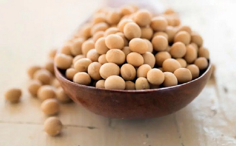 Ini 5 Jenis Makanan Tinggi Protein yang Bisa Anda Konsumsi