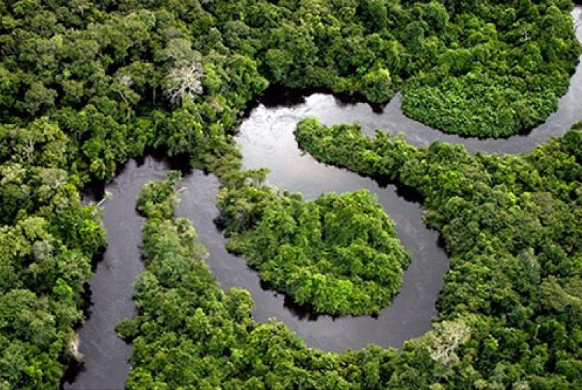 Ilmuwan Sebut Hutan Amazon Bisa Jadi Sumber Pandemi