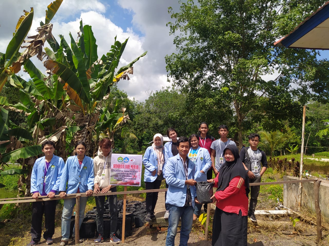 BUDIDAYA JAHE MERAH OLEH TIM KUKERTA TERINTEGRASI UNRI DI DESA RUMBIO DAN IBU-IBU PKK”