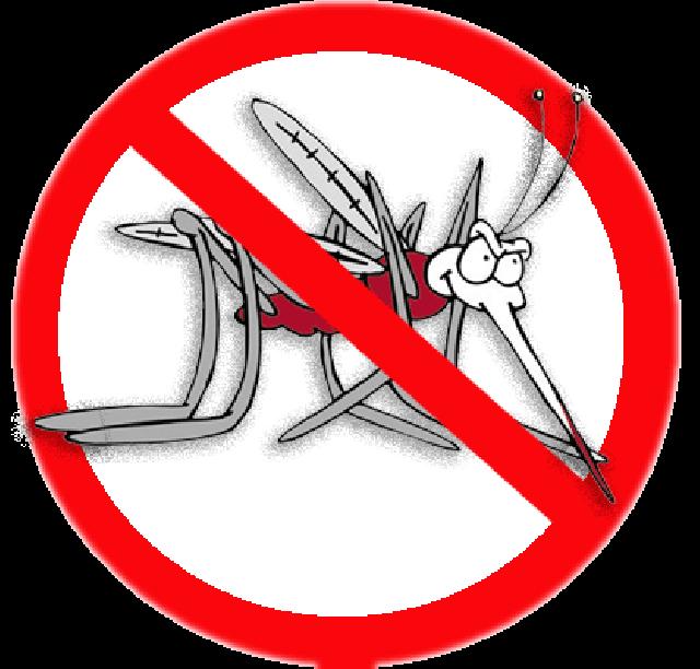 Masyarakat Rohil DIhimbau Waspada DBD