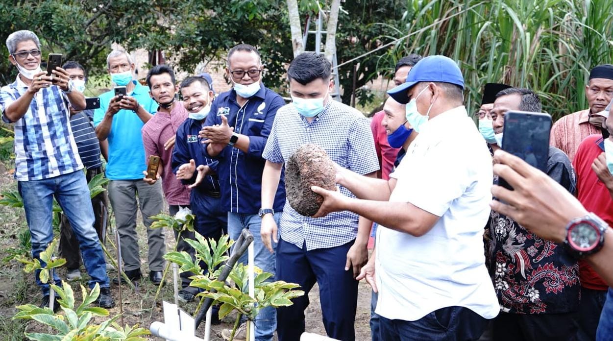 Miliki Nilai Ekonomis, Bupati Alfedri Minta Masyarakat Budidayakan Porang di Siak