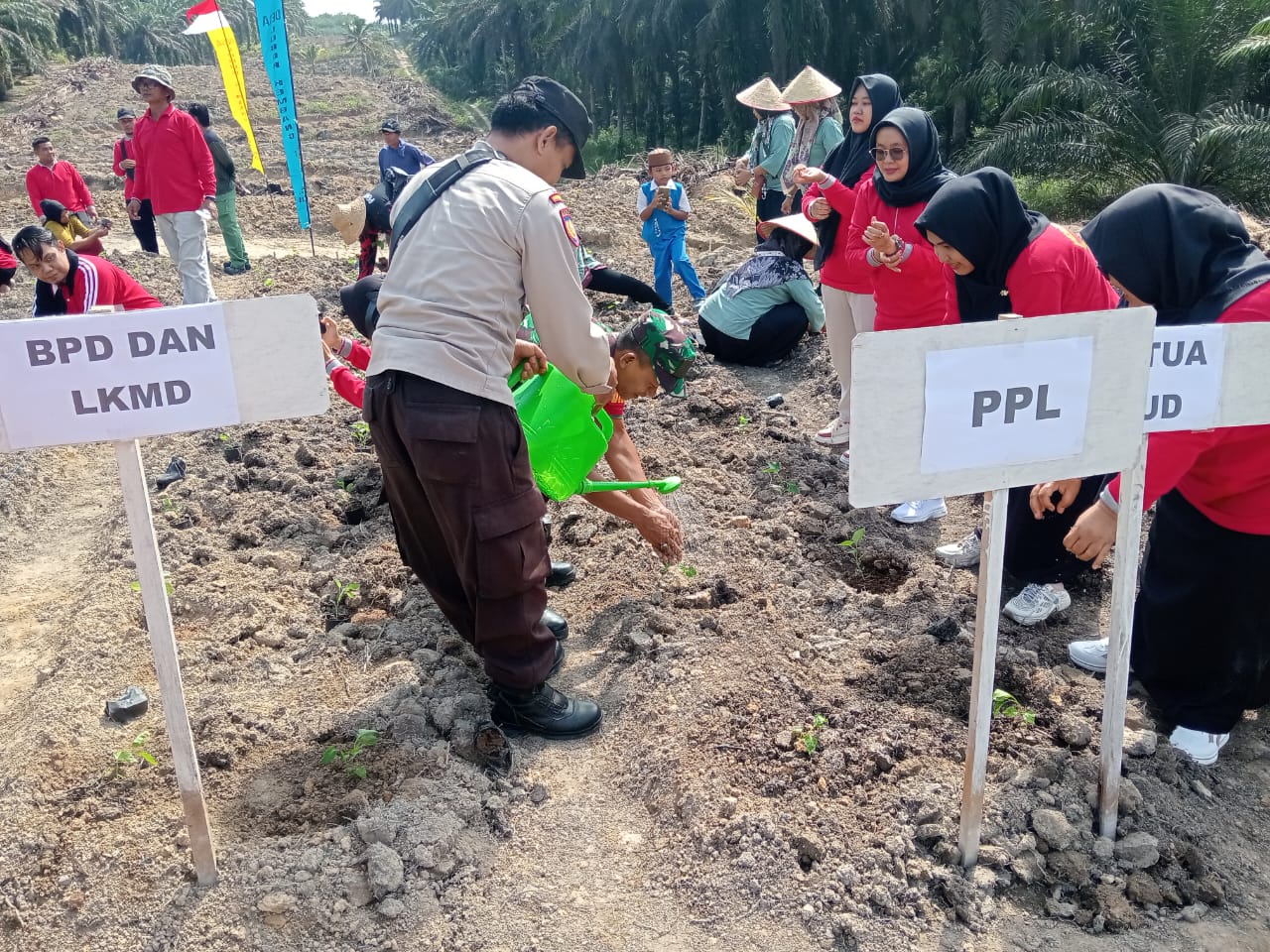 Jalani Titah Presiden Prabowo, Polsek Ukui Tanam Cabai