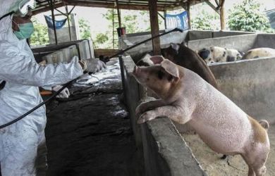 Virus Baru Kembali Muncul dari China