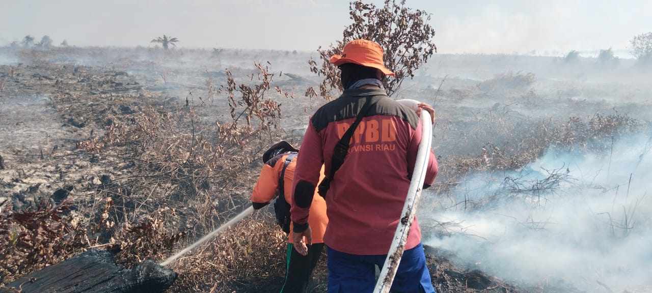 118 Titik Panas Terpantau di Riau, Terbanyak di Inhu dan Rohil