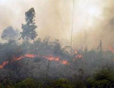 Ada 13 Titik Hot Spot di Inhu