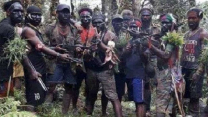 Terungkap! OPM Terima Pesanan Luar Negeri Bunuhi Sipil untuk Jebak TNI