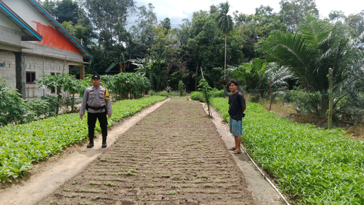 Polsek Bangko Pusako Bina Kelompok Tani di Kepenghuluan untuk Perkuat Ketahanan Pangan