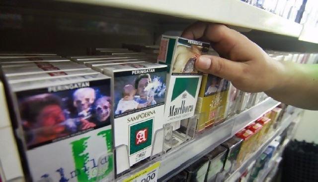 Pajak Rokok Rp110 Miliar Mengalir ke Riau