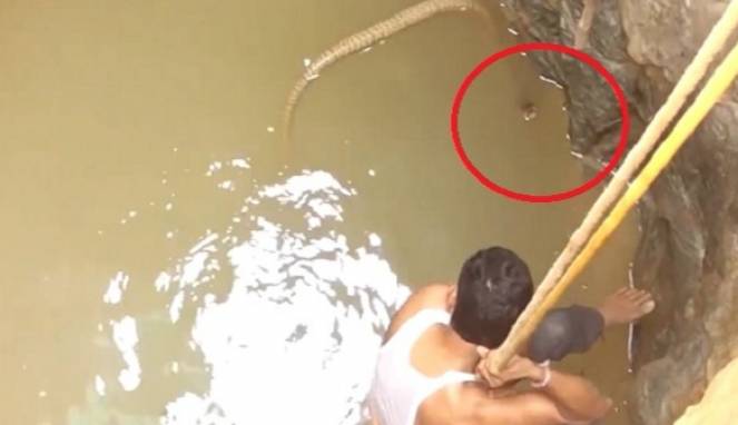 Menegangkan, Penyelamatan Kobra dari Dalam Sumur