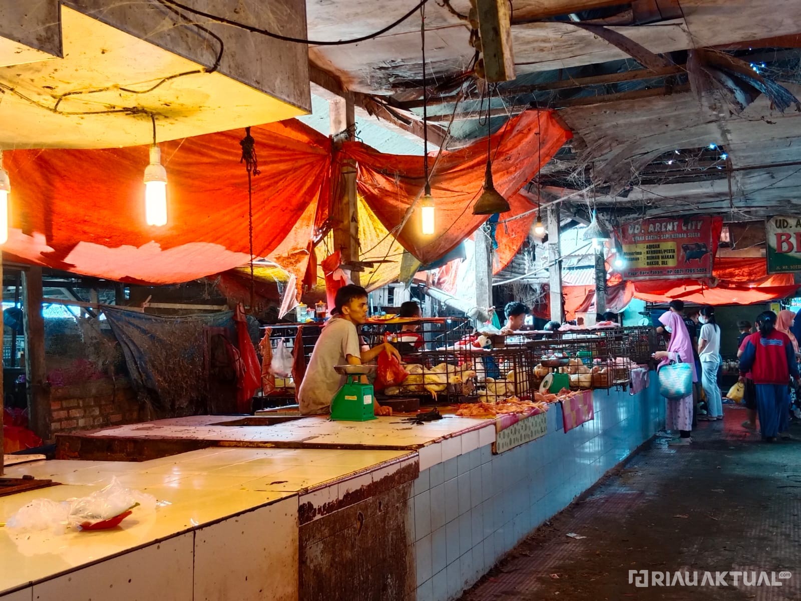 Distankan Pekanbaru Pastikan Ketersediaan Daging Sapi Segera Normal