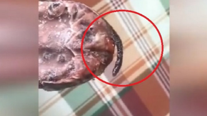 Temukan Tikus di Es Krim, Wanita Minta Kompensasi Rp110 Juta