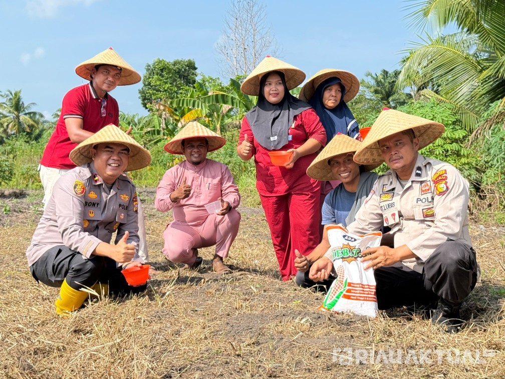 Kapolsek TPTM Tanam Jagung Serentak, Dukung Ketahanan Pangan Nasional di Rohil