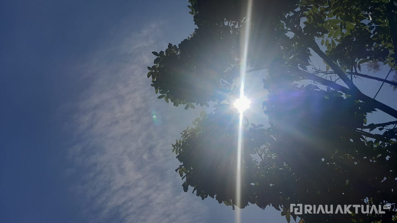 Cuaca Riau Hari Ini Didominasi Cerah Berawan, Hujan Lokal Berpotensi Terjadi di Beberapa Wilayah