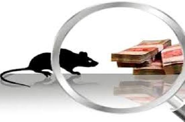 Pengadaan Internet Rp2 Miliar Pemko Dumai Dinilai tak Prosedural