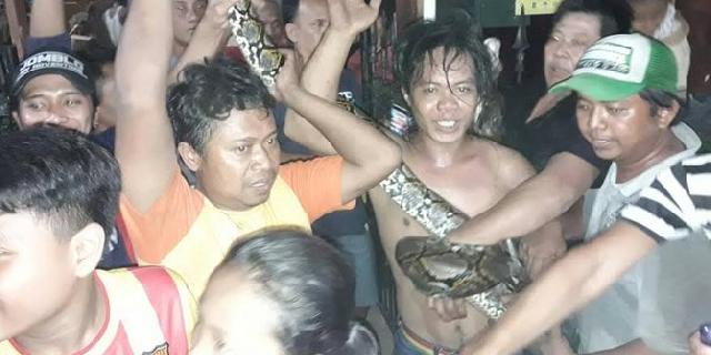 4 Jam evakuasi ular piton sepanjang 3,6 meter, satu warga dipatuk