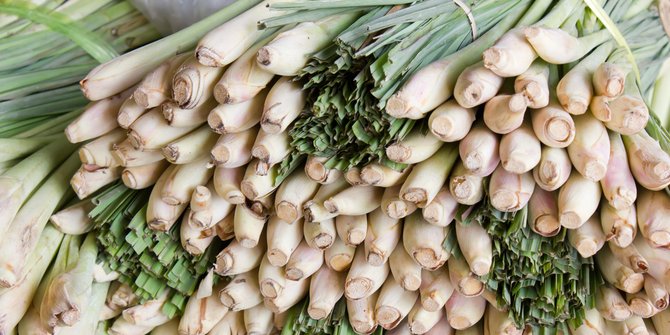 Nyamuk benci bau bumbu masak ini