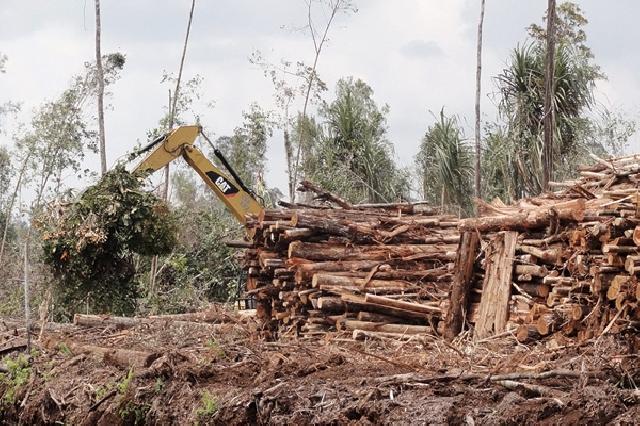 Perum Perhutani bagikan dana Rp 424,7 juta untuk LMDH