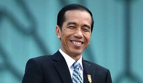 Luar Biasa! Ribuan Ekor Ikan yang Ditebar Jokowi Tak Satupun Mati