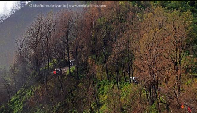 Kepincut Gunung Bromo