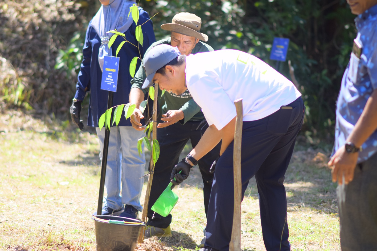 Peningkatan Kualitas Ekosistem Hijau, Bandara SSK II Tanam 2.000 Pohon di Tahura Minas