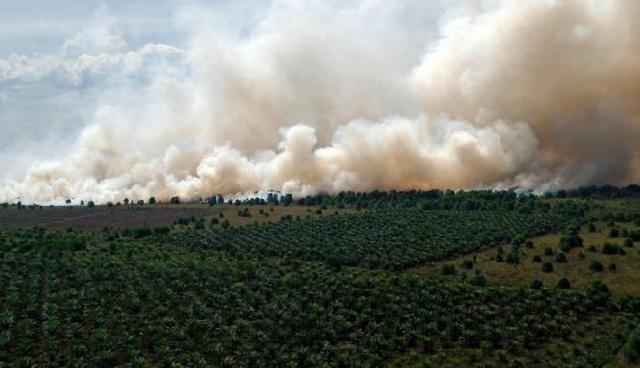 Kearifan Lokal Indonesia, Solusi Problem Lingkungan Dunia